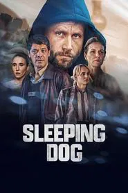 Sleeping Dog tv show poster