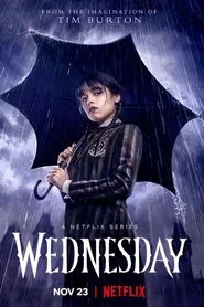 Wednesday movie poster