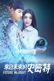 Poster da série 来自未来的史密特