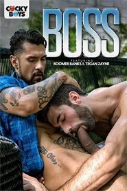 Poster do filme Boss
