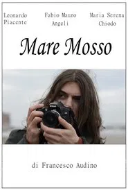 Mare mosso movie poster