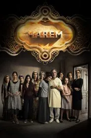 Harem tv show poster