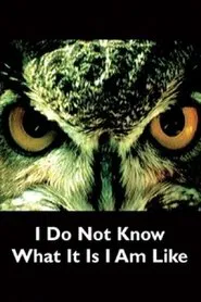 I Do Not Know What It Is I Am Like movie poster