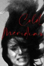 Poster do filme Cold Meridian