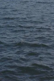 special dark glass somewhere movie poster