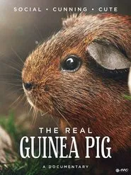 Poster do filme The Real Guinea Pig