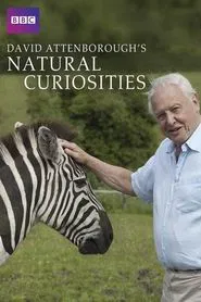 David Attenborough's Natural Curiosities tv show poster