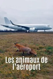 Airport Animal Stories movie poster