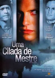 Poster do filme Uma Cilada de Mestre