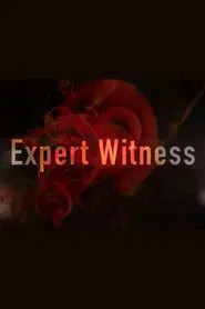 Poster da série Expert Witness