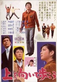 Keep Your Chin Up movie poster