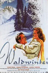 Waldwinter movie poster