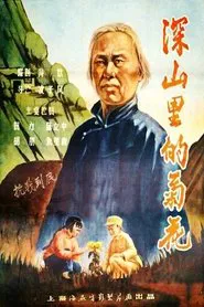 深山里的菊花 movie poster