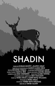 Shadin movie poster