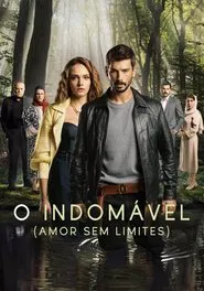 Poster da série O Indomável - Amor Sem Limites
