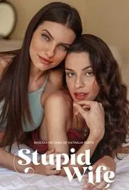 Stupid Wife tv show poster