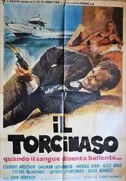 Poster do filme Il torcinaso