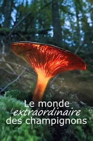 Poster do filme Le monde extraordinaire des champignons
