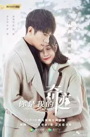 You Are the Miracle tv show poster