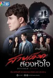 Poster da série Divided Heart