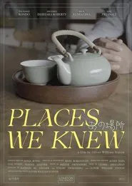 Places We Knew movie poster