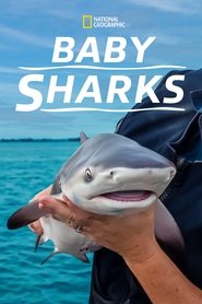 Baby Sharks movie poster