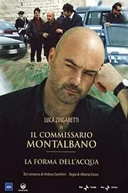 La Forma dell'acqua movie poster