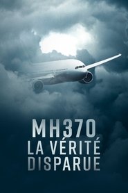 Poster da série MH370: Missing