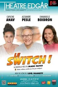Le Switch movie poster