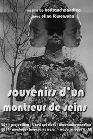 Memories of boobs flasher movie poster