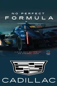 No Perfect Formula movie poster