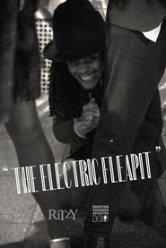 The Electric Fleapit movie poster