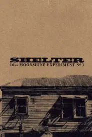 Poster do filme Shelter