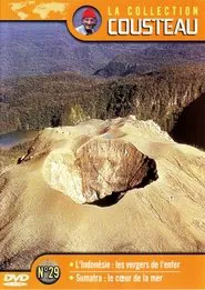 The Cousteau Collection N°35-1 | The Sharks movie poster