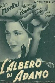 L'albero di Adamo movie poster