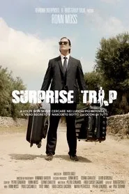 Viaggio a sorpresa movie poster