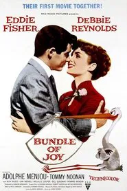 Poster do filme Bundle of Joy