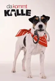 Here Comes Kalle tv show poster
