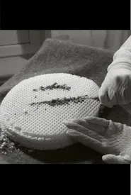 Fintikova on Meat movie poster