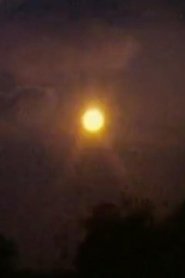 Round Trip movie poster