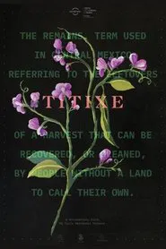 Titixe movie poster