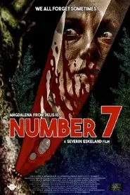 Number 7 movie poster