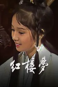 Dream of Red Chamber tv show poster