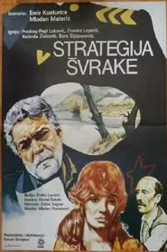 Poster do filme The Magpie Strategy