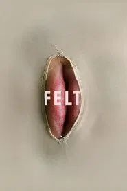 Poster do filme Felt