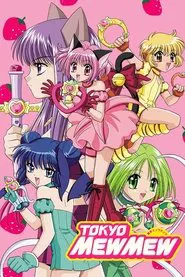 Tokyo Mew Mew tv show poster