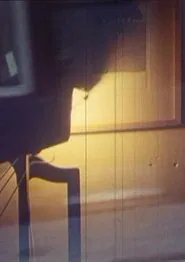 Thaler’s, Meier’s, Sadkowsky’s Life in the Evening movie poster