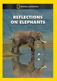 Reflections on Elephants movie poster