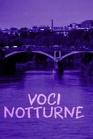 Night Voices tv show poster