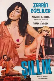 Şıllık movie poster